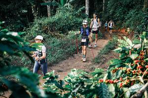 BIB: 
                            <button type="button" onclick="openModal(25838020)" class="btn btn-primary btn-sm float-right btn-popup" data-toggle="modal" data-target=".modal-high-quality">
                        <i class="fas fa-shopping-cart"></i> Add to Cart
                    </button>
                                            <button type="button" onclick="isThisMe(25838020, true)" class="btn btn-success btn-sm float-right btn-popup btn-isme hidden" data-toggle="tooltip" data-placement="bottom" title="นี่คือรูปของคุณใช่ไหม คลิกที่นี่เพื่อเอาเข้าอัลบั้ม">
                        <i class="fas fa-plus"></i> Add to album
                    </button>
                    <button type="button" onclick="isThisMe(25838020, false)" class="btn btn-warning btn-sm float-right btn-popup btn-isnotme hidden">
                        <i class="fas fa-ban"></i> Remove from album
                    </button>